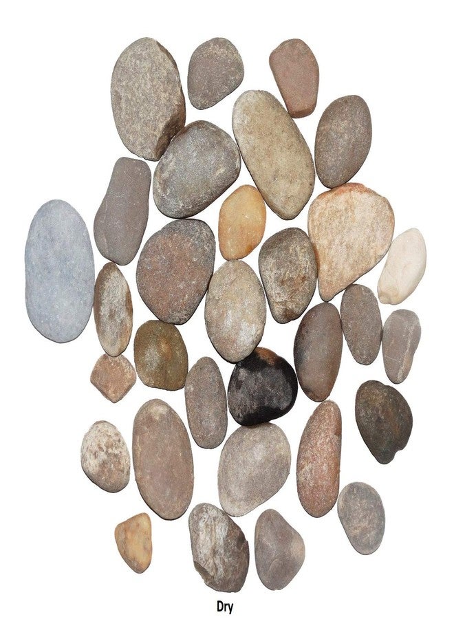 Maalavya Multi Color Flat unpolished River Stones for Home and Garden, Painting, Table Decor, Aquarium Substrate (1Kg) - Image 5